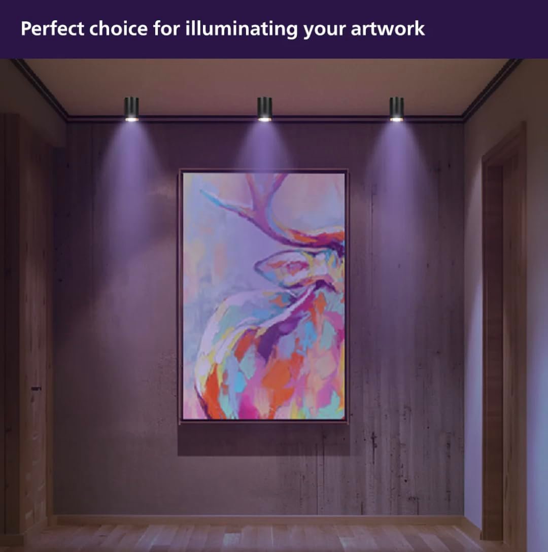 10W Philips Wi-Fi Color LED Surface COB - Image 3