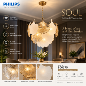 800175 Philips SOUL Dia 450mm E14*5
