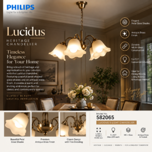 582065 PHILIPS Lucidus 5HPendantDown E27
