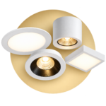 Ceiling Lights