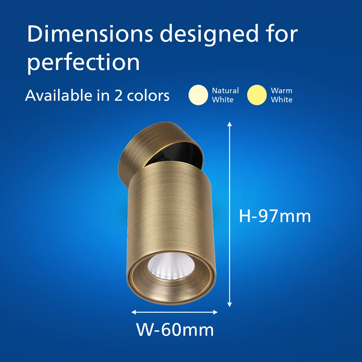 Philips Surface and Flex Surface (Brass) - Image 5