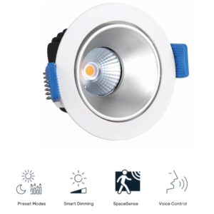 Philips Smart Wi-Fi Spotlight(15W)
