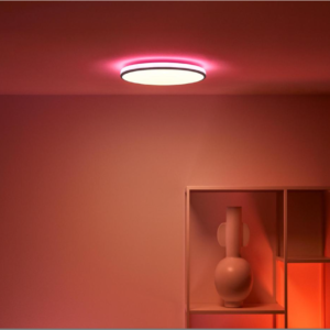 Philips Smart Dual Glow Ceiling Light 28W