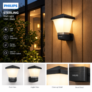 800031 Philips STERLING Wall Light 12W