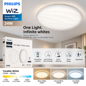 Philips Smart WaveGlow 24W LED Surface Dl