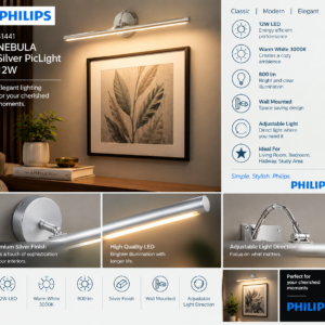 31441 PHILIPS Nebula Silver PicLight 12W